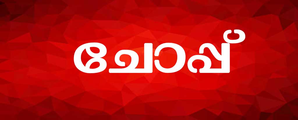 ചോപ്പ്
