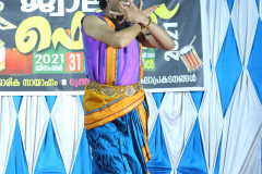 IMG_4911